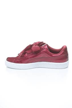 Кецове Puma2