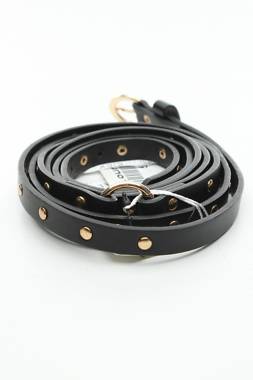 Колан Calliope2