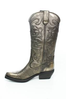 Γυναικείες μπότες Steve Madden2