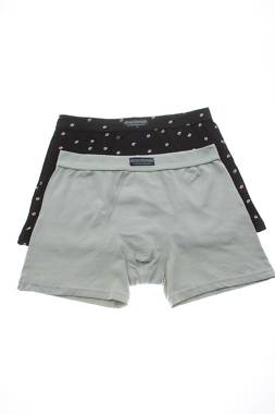 Мъжки боксерки Abanderado1