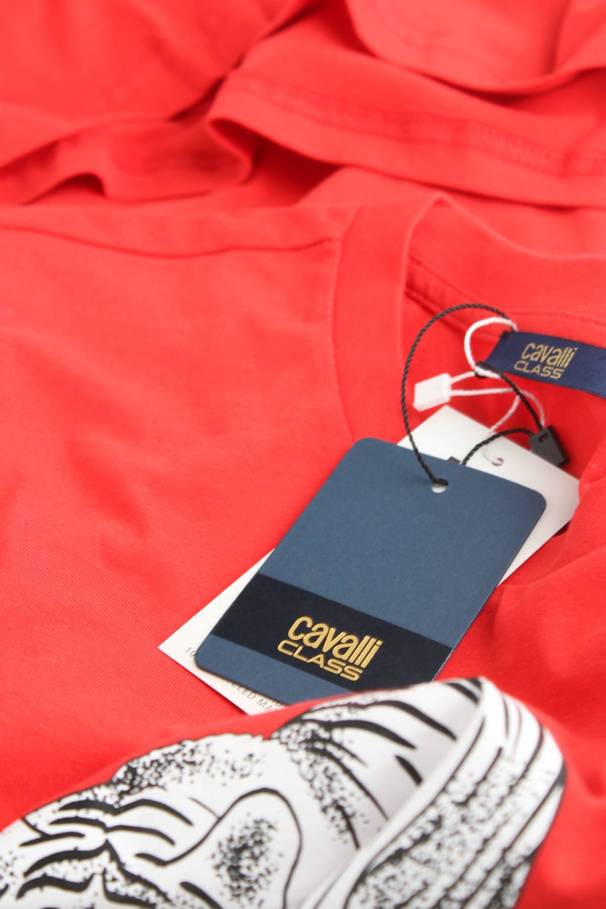 Ανδρικό t-shirt Cavalli Class3