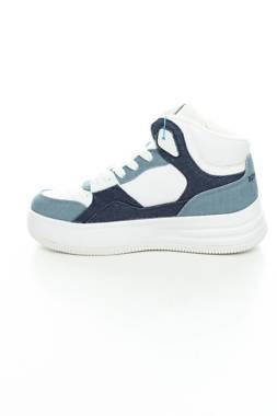 Кецове Sprandi2