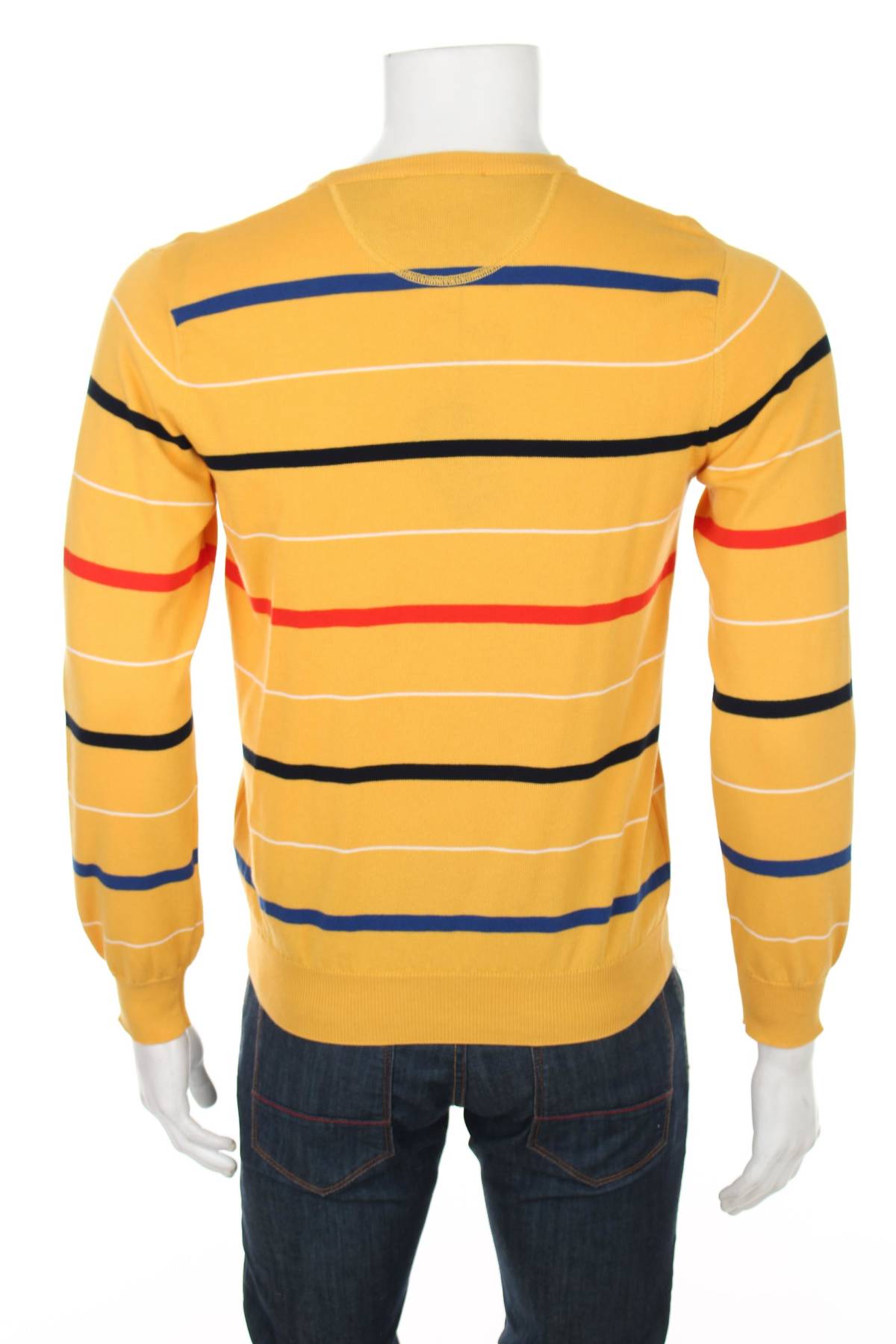 Ανδρικό πουλόβερ Andrea Fenzi2