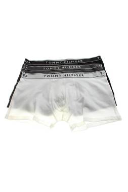 Ανδρικά μποξεράκια Tommy Hilfiger1