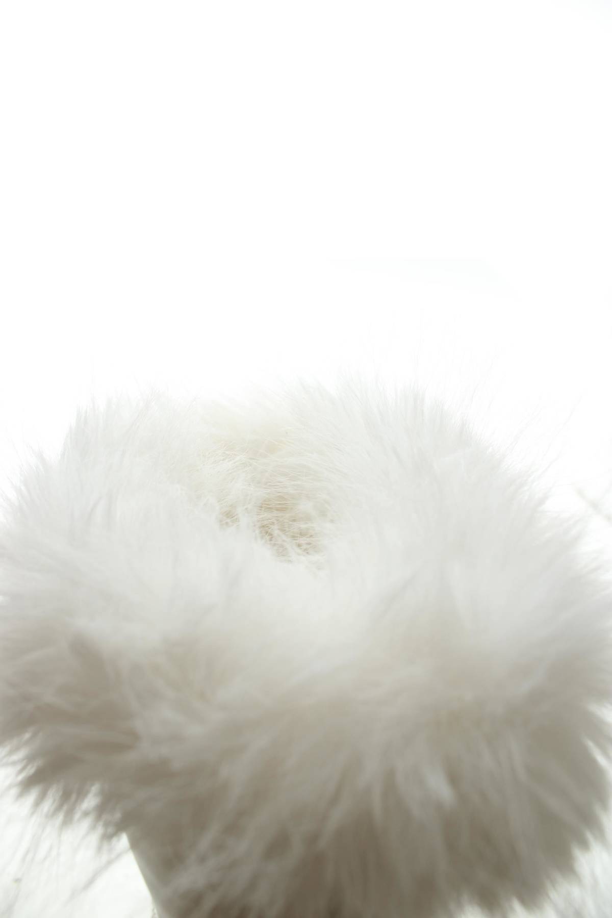 Γυναικεία μποτάκια Steve Madden5