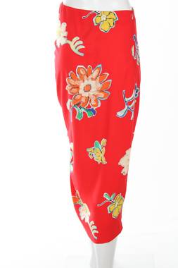 Φούστα Desigual1