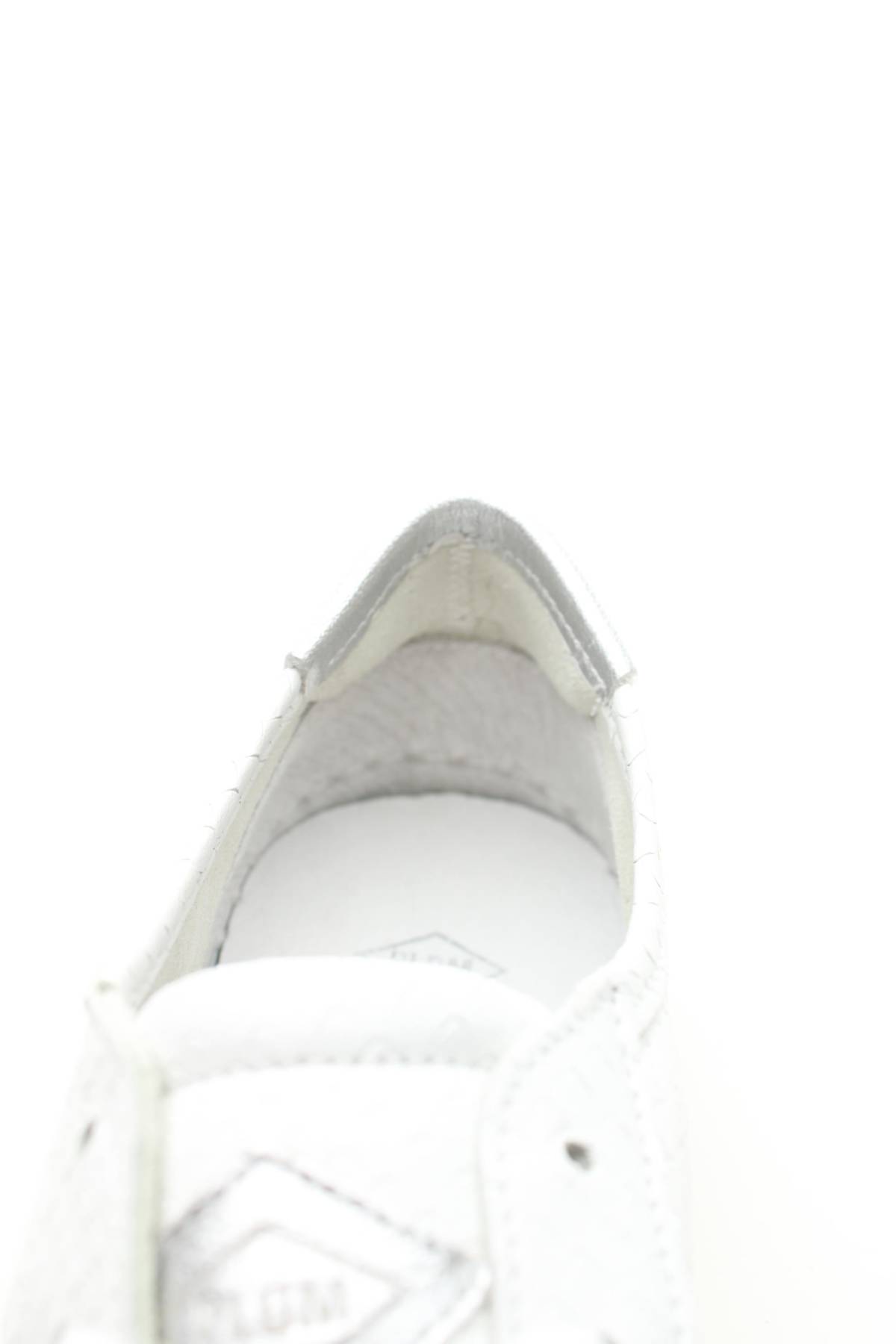 Кецове Palladium5