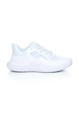 Αθλητικά παπούτσια Steve Madden1 - Contourshop.gr Αθλητικά παπούτσια Steve Madden1