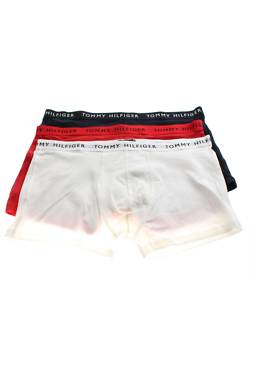 Ανδρικά μποξεράκια Tommy Hilfiger1