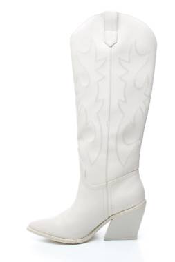 Γυναικείες μπότες Steve Madden2