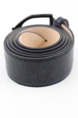 Колан Longchamp2