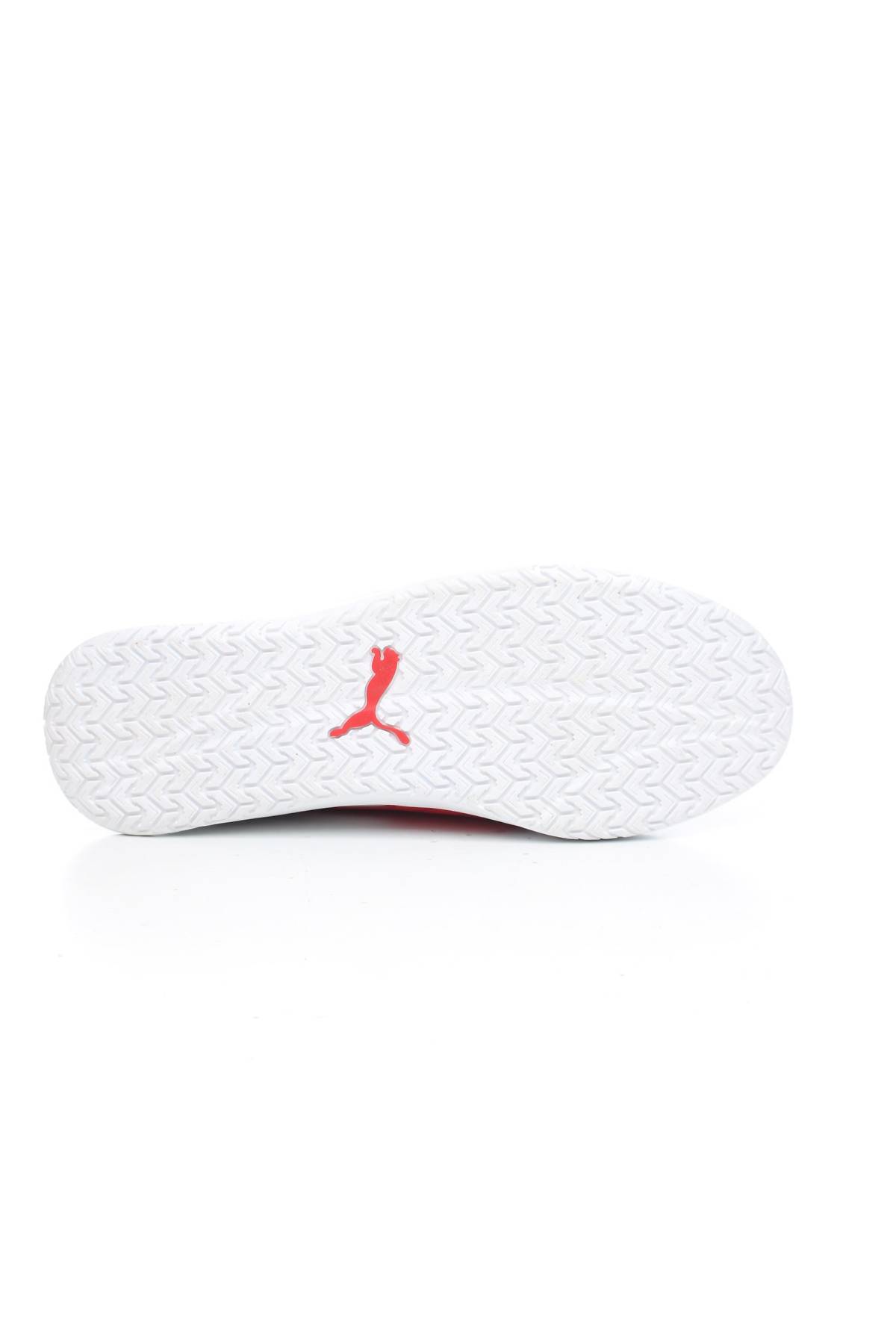 Кецове Puma4
