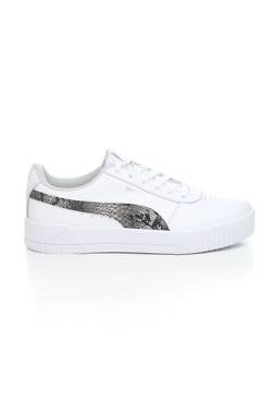 Кецове Puma1