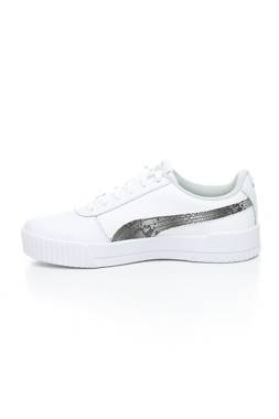 Кецове Puma2