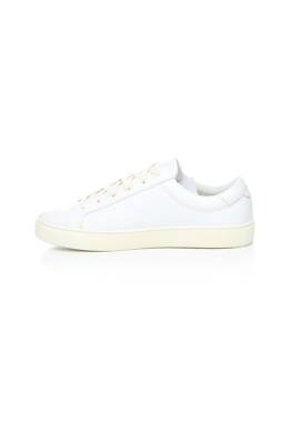 Кецове Aigle2