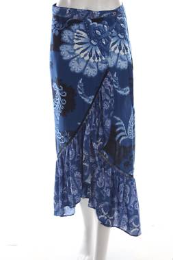 Пола Desigual1
