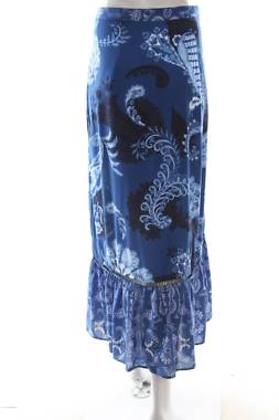 Пола Desigual2