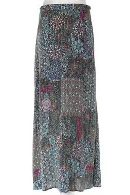 Пола Desigual2