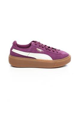 Кецове Puma1