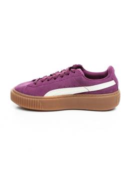 Кецове Puma2