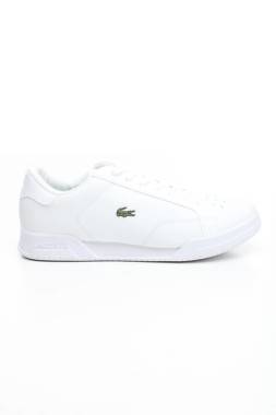 Кецове Lacoste1