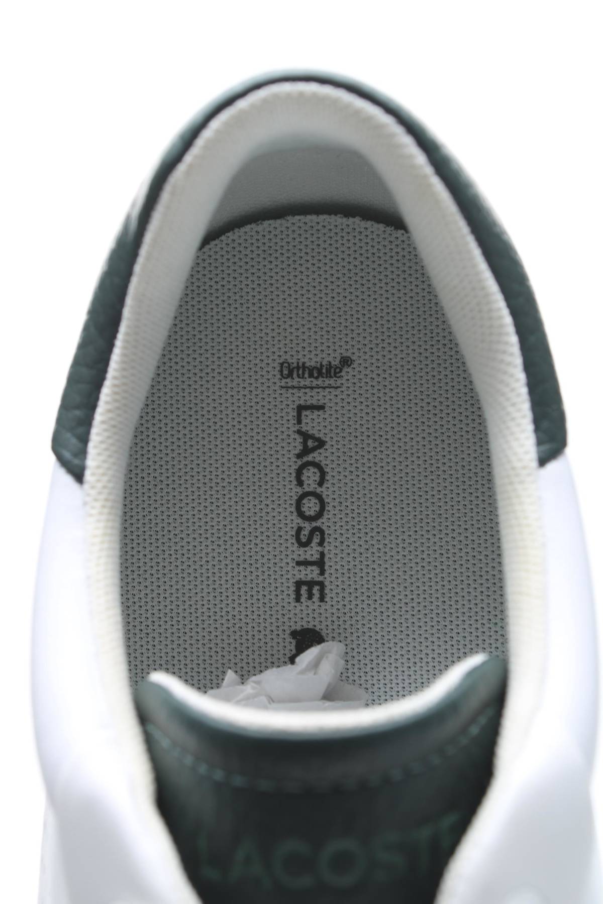 Кецове Lacoste5 - Contour.bg Кецове Lacoste5