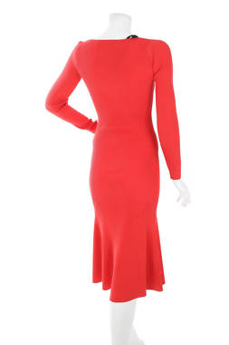 Φορέματα Pinko2