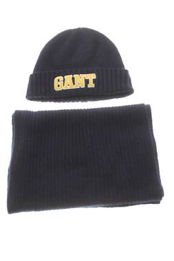 Σύνολο Gant1