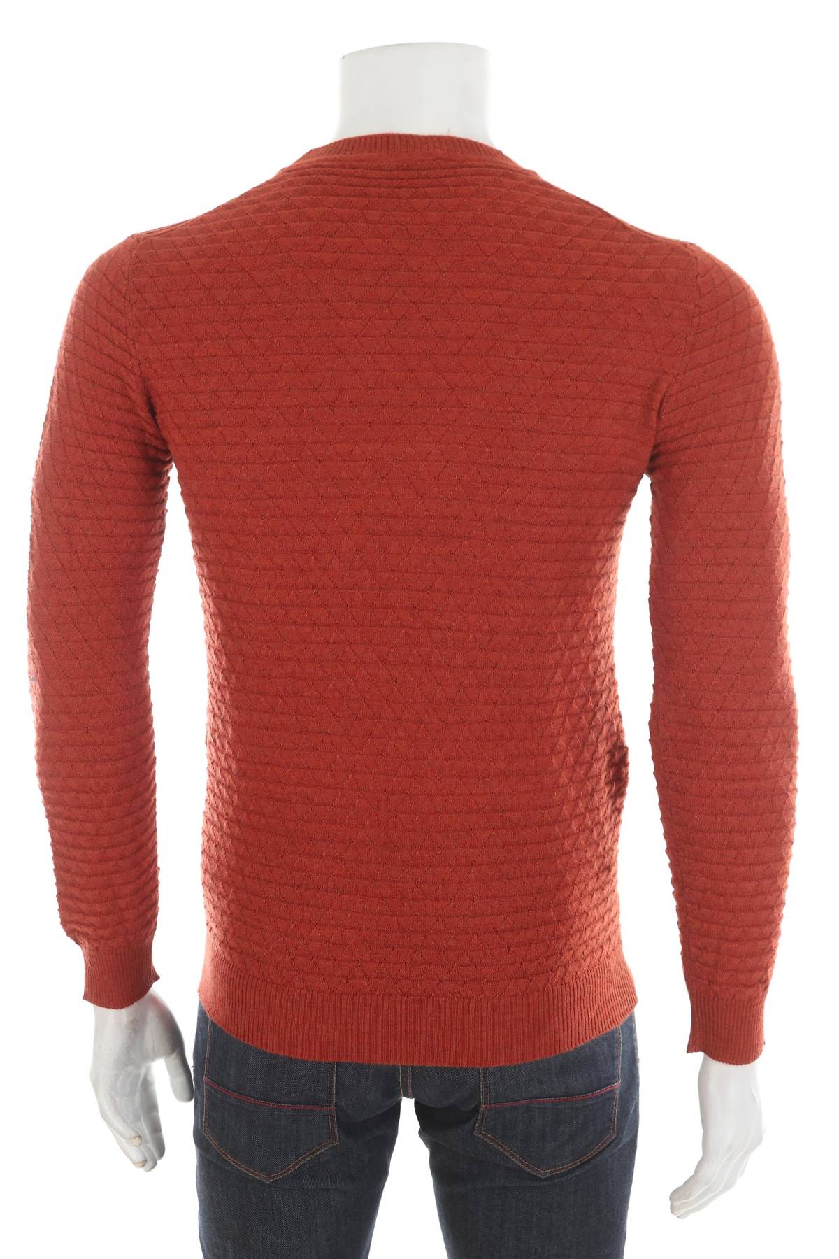 Ανδρικό πουλόβερ Cashmere Company2