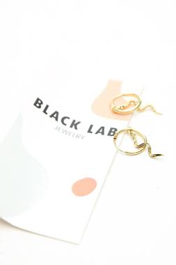 Σκουλαρίκια Black Lab1 - Contourshop.gr Σκουλαρίκια Black Lab1