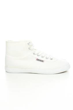 Кецове Kawasaki1