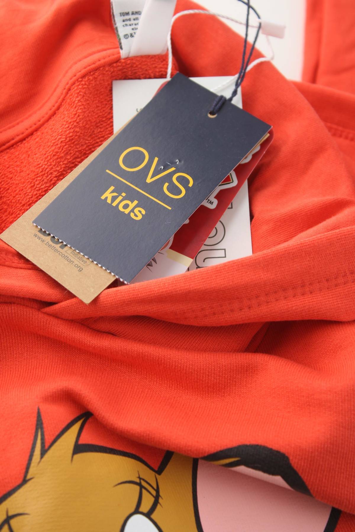 Παιδικό φούτερ Oviesse3