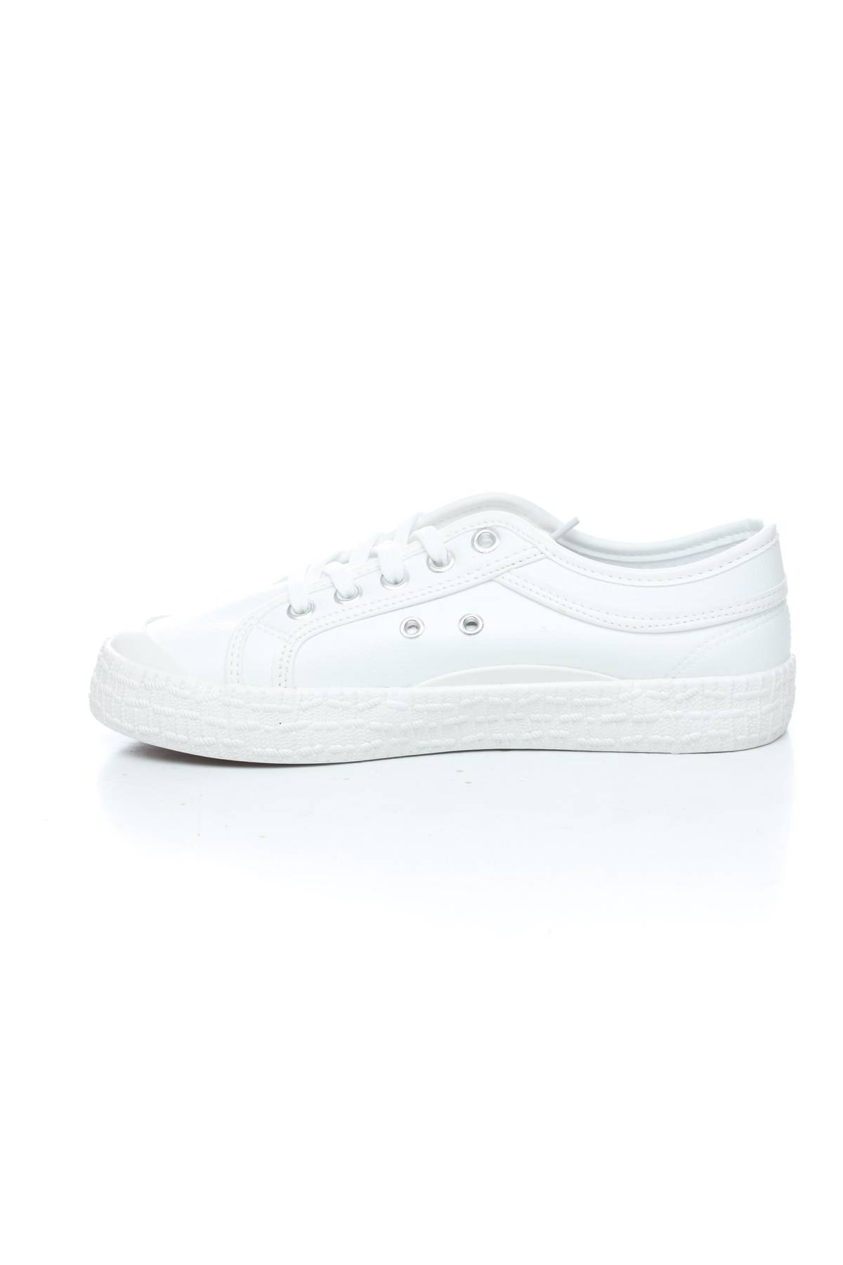 Кецове Kawasaki2