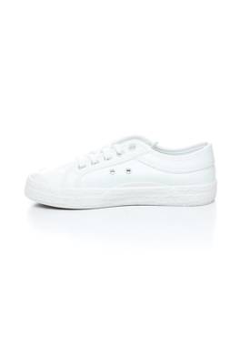 Кецове Kawasaki2