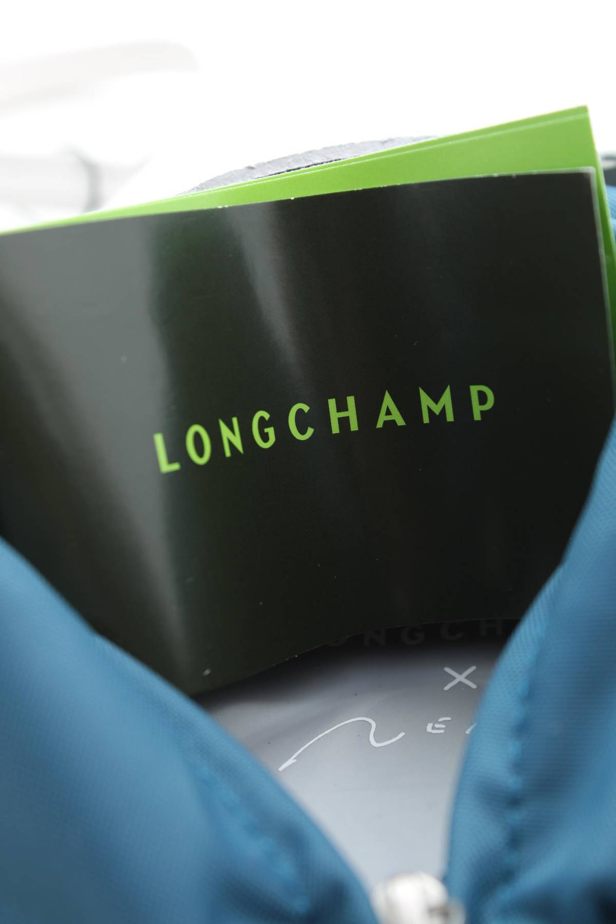 Клъч Longchamp4